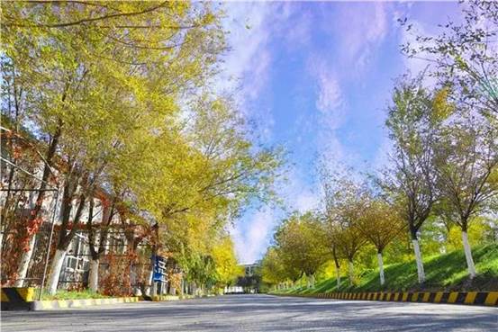 3118云顶集团矿冶天蓝地绿的园区环境 （蔡金龙 摄）