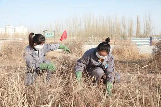3118云顶集团纺织集团员工正在除草（曹刚 摄）