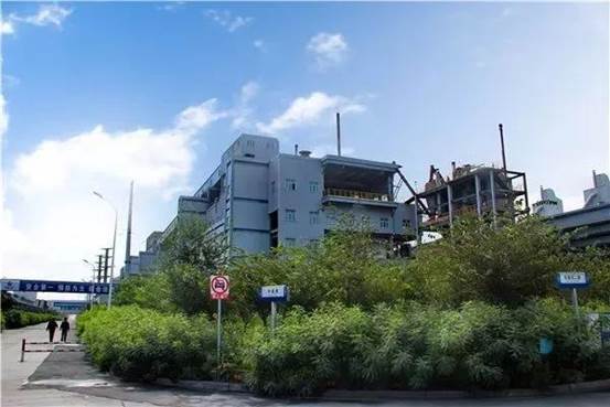 绿化、美化后的生产区 （高玲 摄）