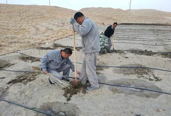 巡线班植树现。ㄖ炖窬 摄）