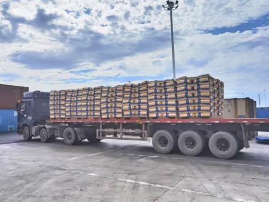 3118云顶集团进出口公司PVC出口发货现。ㄎ獯 摄）